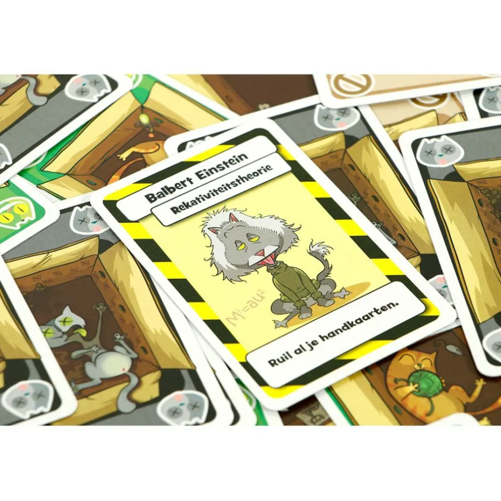 999 Games Schrödinger's Katten kaartspel