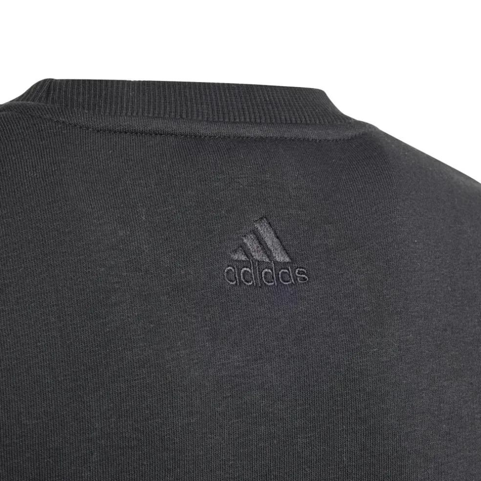 Adidas ALL SZN Graphic sweater junior black