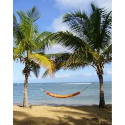 Amazonas Barbados hangmat papaya