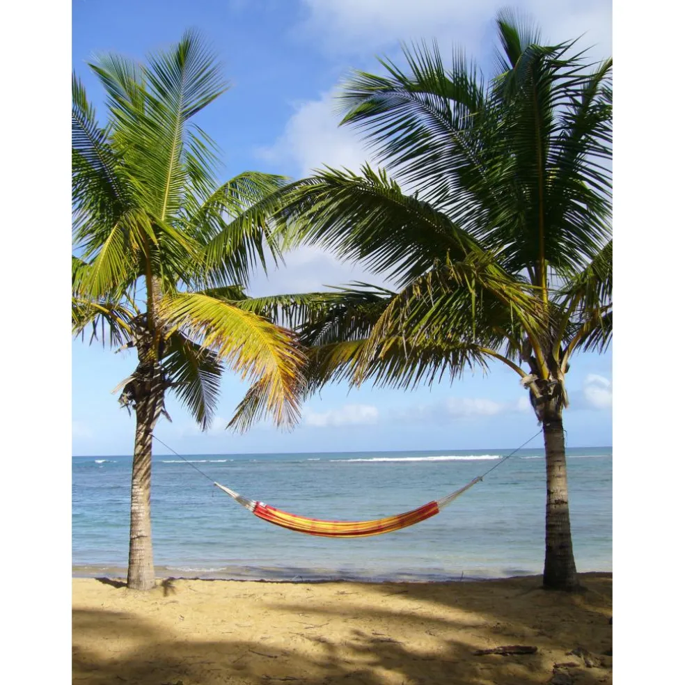 Amazonas Barbados hangmat papaya