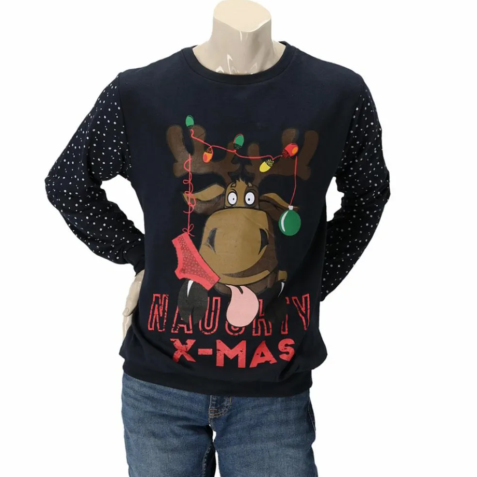 Apollo X-Mas sweater heren assorti