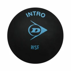 Dunlop Intro squashbal black