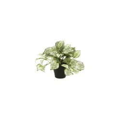 DWS Fittonia Bush kunstplant