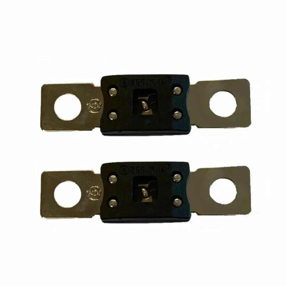 DWS Mega hoofdzekering 40 ampère zwart per 2 stuks