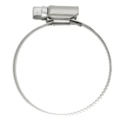 DWS Slangklem RVS 38-50 mm 2 stuks