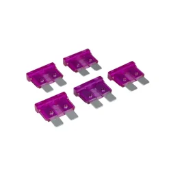 DWS Steekzekeringen 3A set van 5 stuks