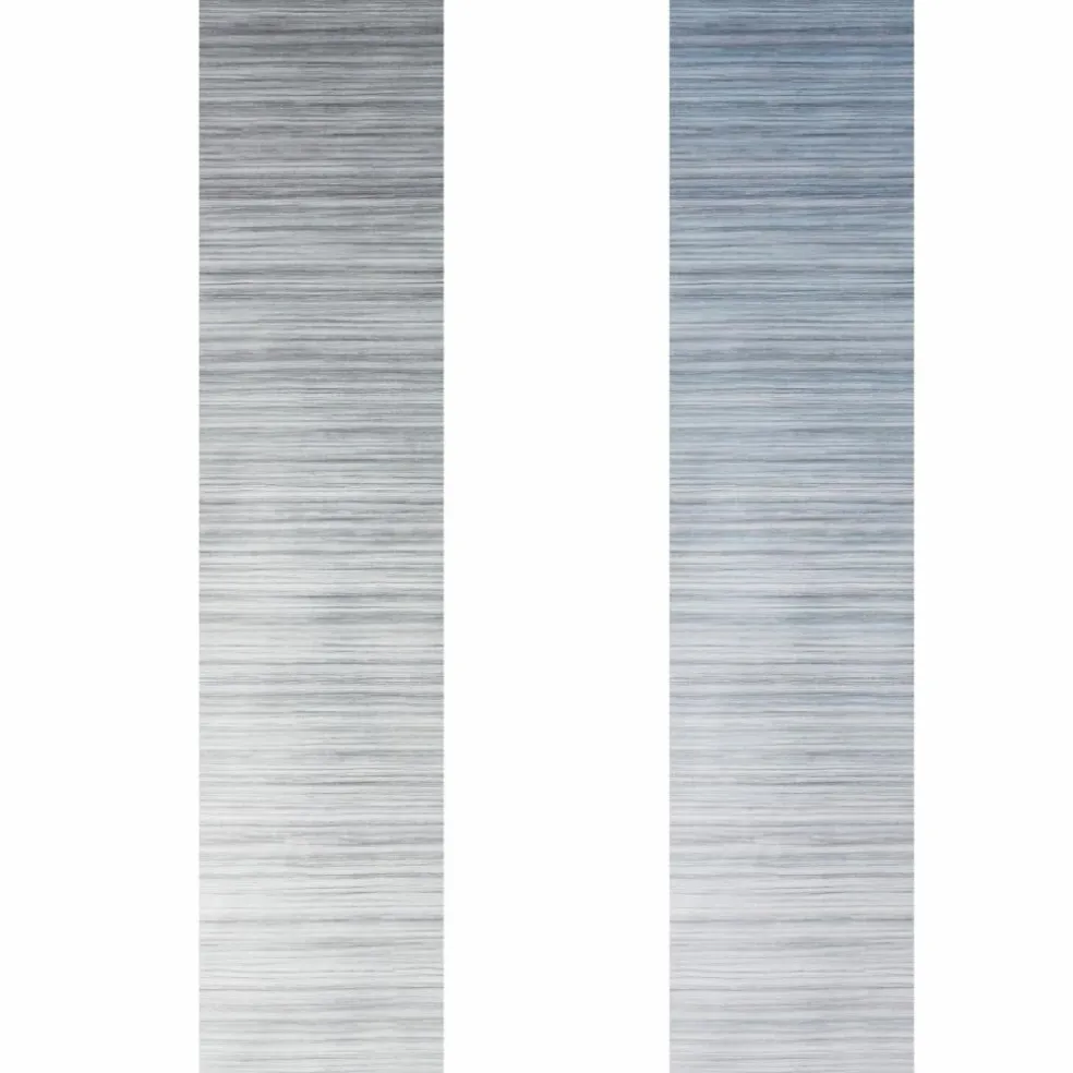 Fiamma F45 S 450 cassetteluifel titanium - Royal Grey