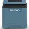 Igloo IE24 thermo-elektrische koelbox