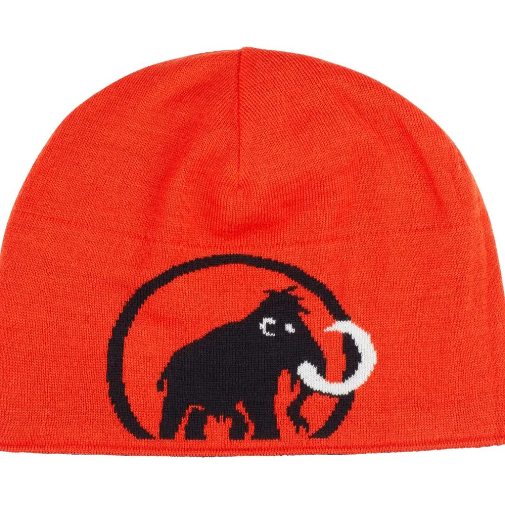 Mammut Logo muts black