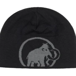 Mammut Logo muts steel-black
