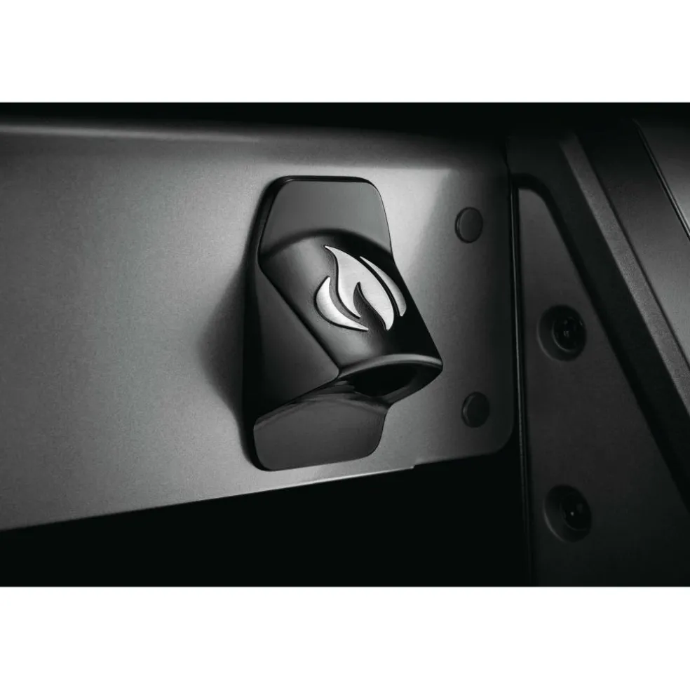 Napoleon Freestyle 365 buitenkeuken graphite