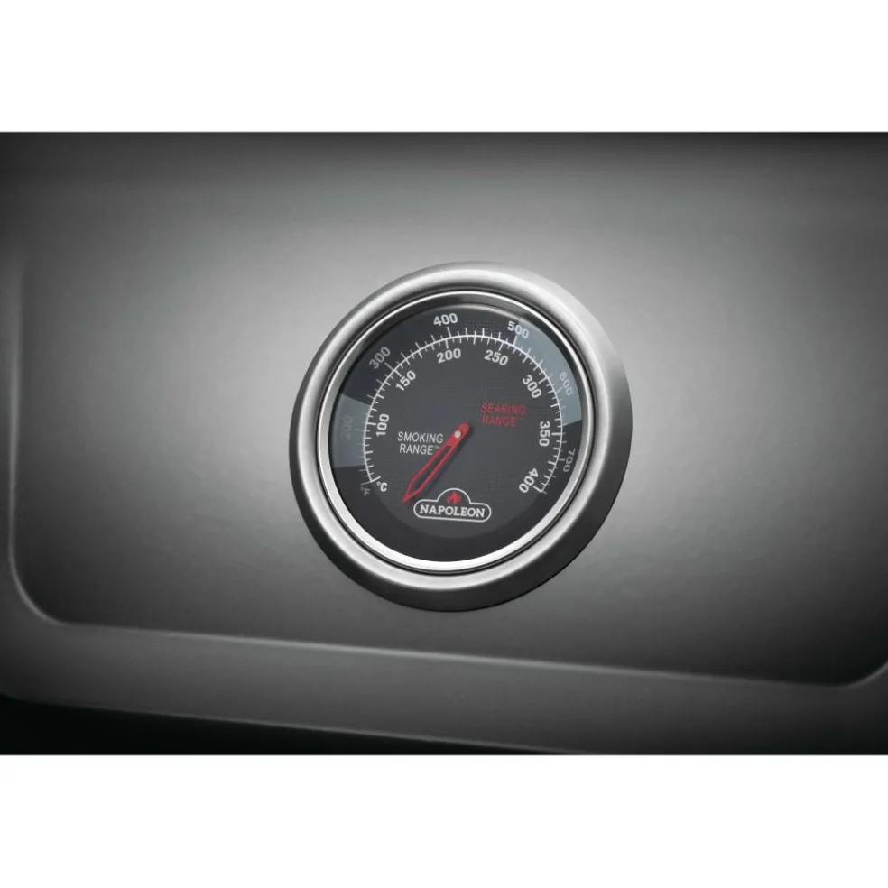 Napoleon Freestyle 365 buitenkeuken graphite