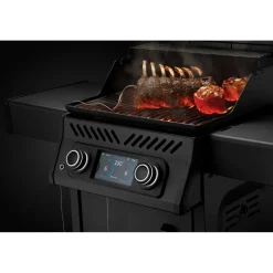 Napoleon REQ365 elektrische barbecue matte black