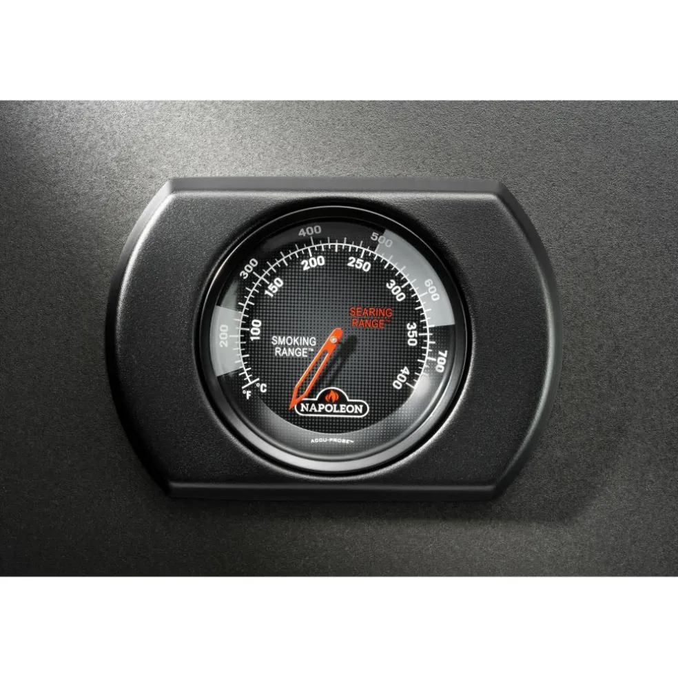 Napoleon Rogue Pro-S 425 Phantom buitenkeuken black