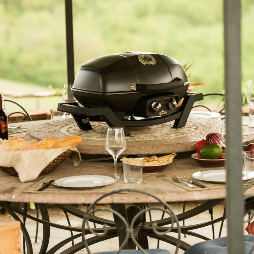 Napoleon TravelQ PRO285 gasbarbecue black