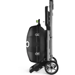 Napoleon TravelQ PRO285EX elektrische barbecue black inclusief onderstel