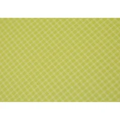 Nemo Dagger Ridge OSMO 2 lichtgewicht koepeltent birch bud