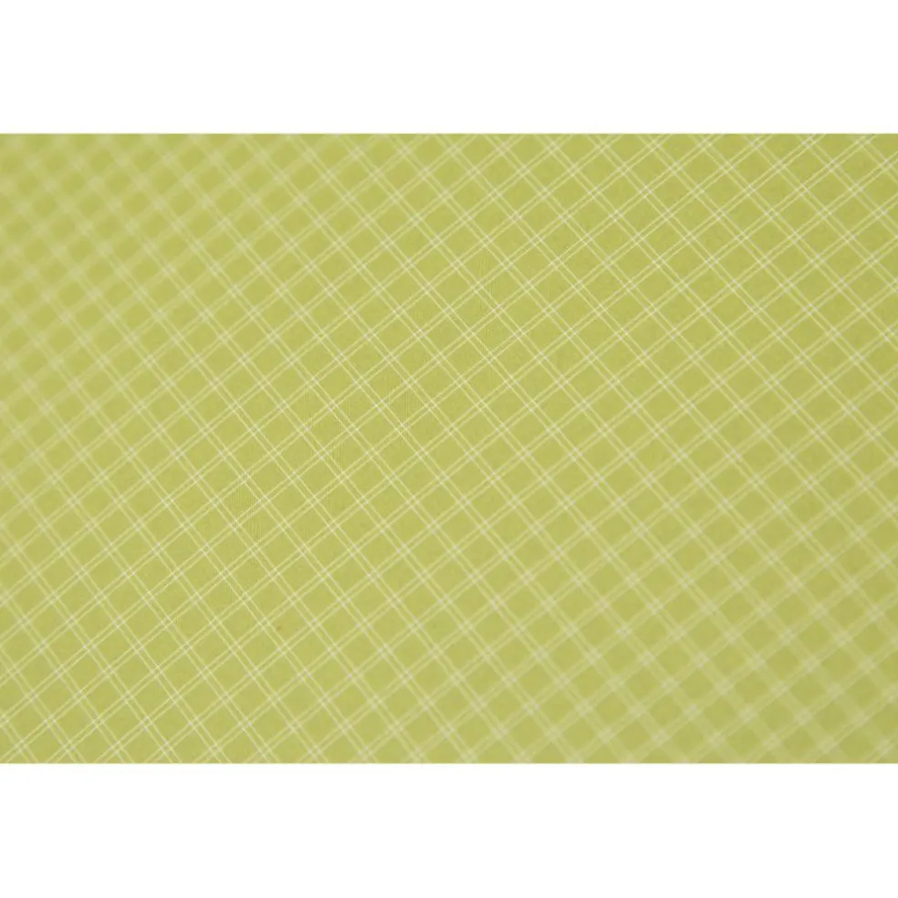 Nemo Dagger Ridge OSMO 3 lichtgewicht koepeltent birch bud