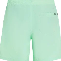 O'Neill Vert 16 inch zwembroek heren mildrew mint