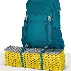 Osprey Ace 38 backpack 38L junior blue spikemoss deep peyto