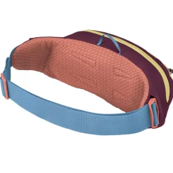 Osprey Daylite heuptas moody burgundy