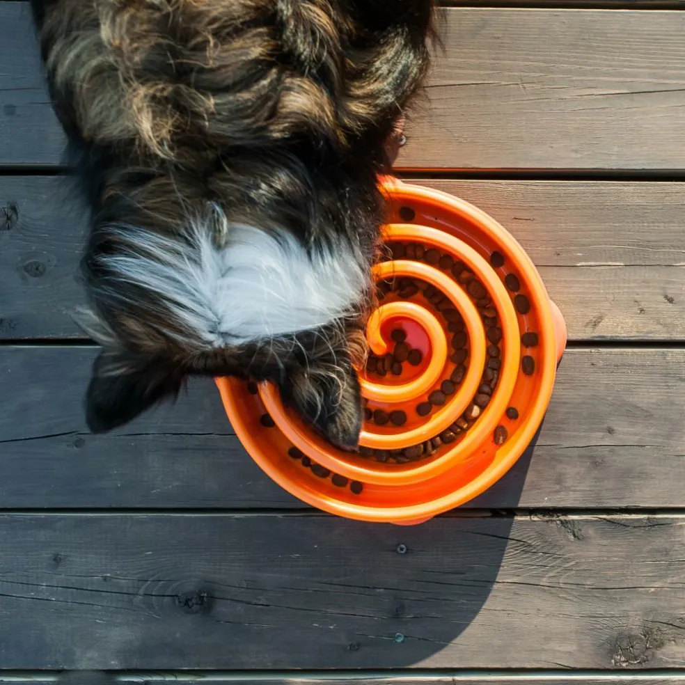 Outward Hound Fun Feeder Slo Bowl voerbak oranje