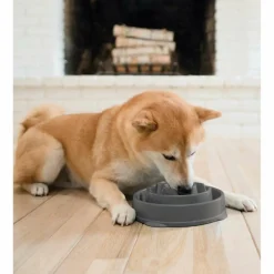 Outward Hound  Fun Feeder Drop Medium voerbak grey