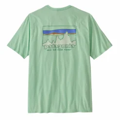 Patagonia '73 Skyline Organic shirt heren rinsed green