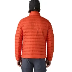 Patagonia Down Sweater outdoor jack heren pollinator orange