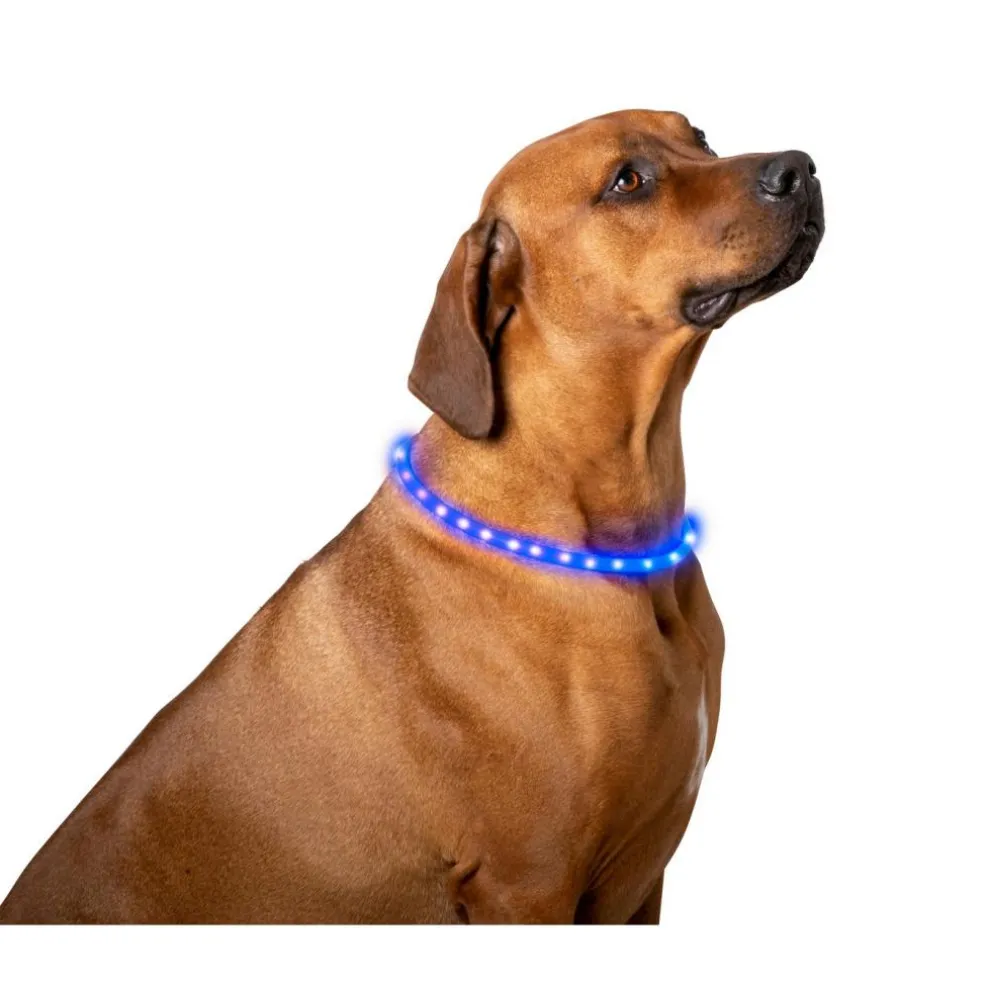 Pet Comfort LED hondenhalsband 2 kleuren assorti