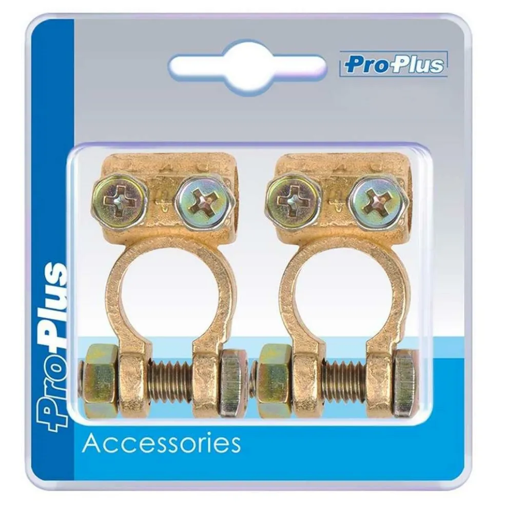 ProPlus Accupoolklemmenset