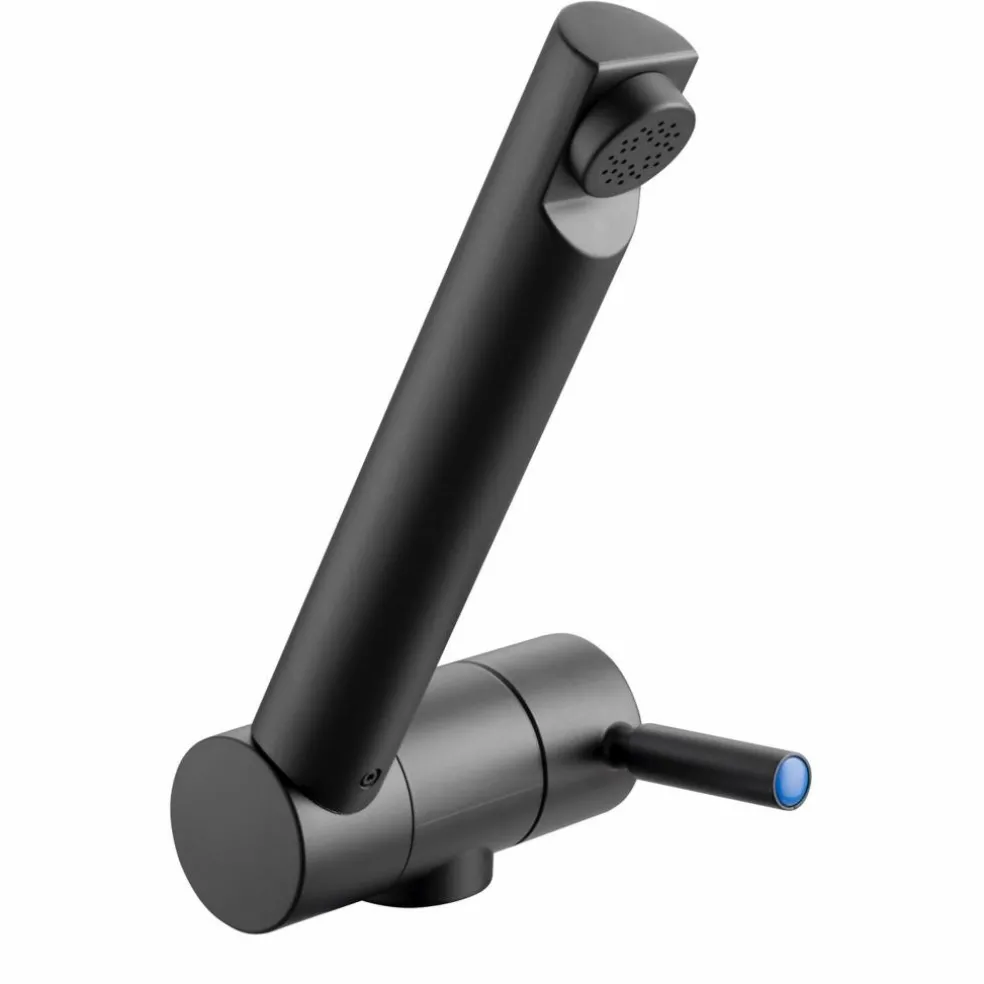 Reich Trend B koudwaterkraan zwart boorgat 27 mm