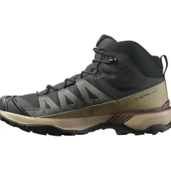 Salomon X ULTRA 360 GORE-TEX wandelschoenen heren phantom desert tan rum raisin