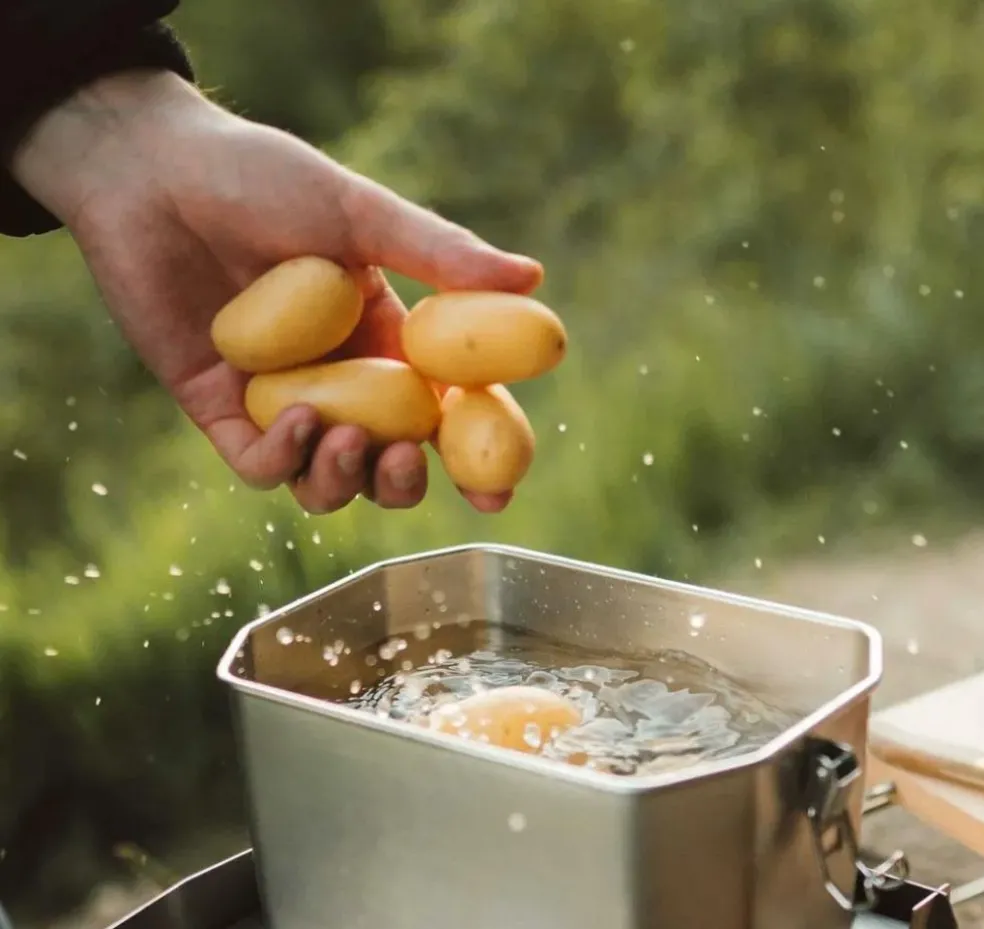 SKOTTI Braadpan 2,5 liter