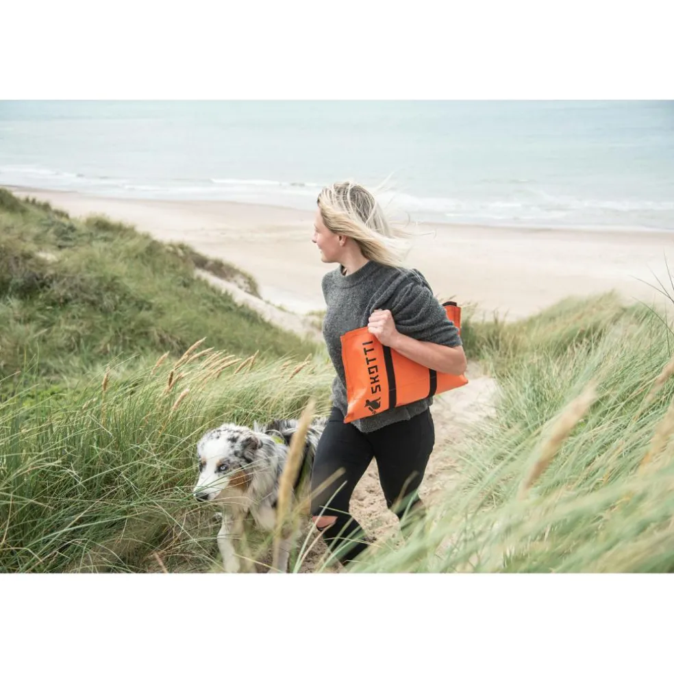 SKOTTI Grill gasbarbecue silver