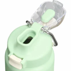 Stanley PMI Classic Wellspring Bottle thermosfles 710 ml pistachio