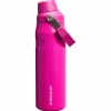 Stanley PMI  Iceflow Bottle Fast Flow thermosfles 710 ml violet blossom