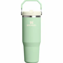 Stanley PMI  Iceflow Flip Straw Tumbler thermosbeker 890 ml  pistachio