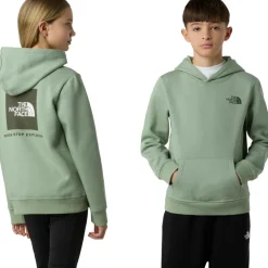The North Face Redbox hoodie junior slate moss new taupe green