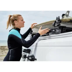 Thule Ladder Van trap