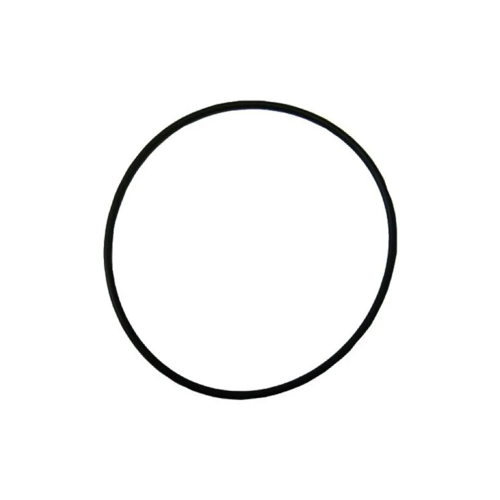 Truma TT2 O-ring 65 mm