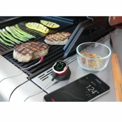 Weber iGrill Mini vleesthermometer