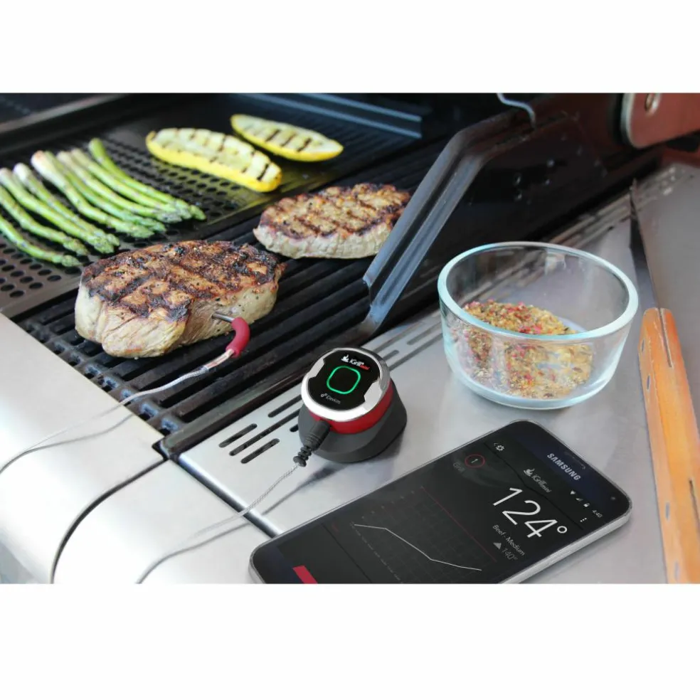 Weber iGrill Mini vleesthermometer