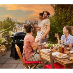 Weber Q 2800N+ gasbarbecue black inclusief onderstel