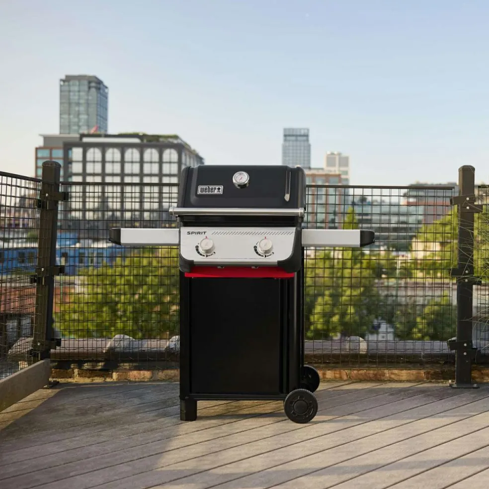 Weber Spirit E-210 buitenkeuken black