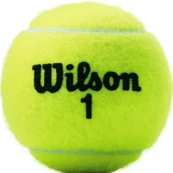 Wilson Championship tennisballen