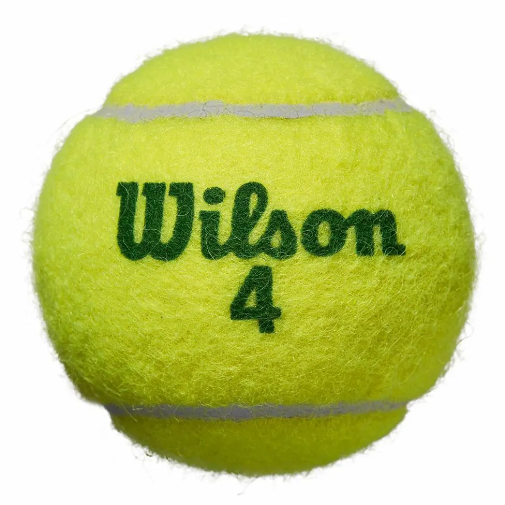 Wilson Starter Green tennisballen 4-pack